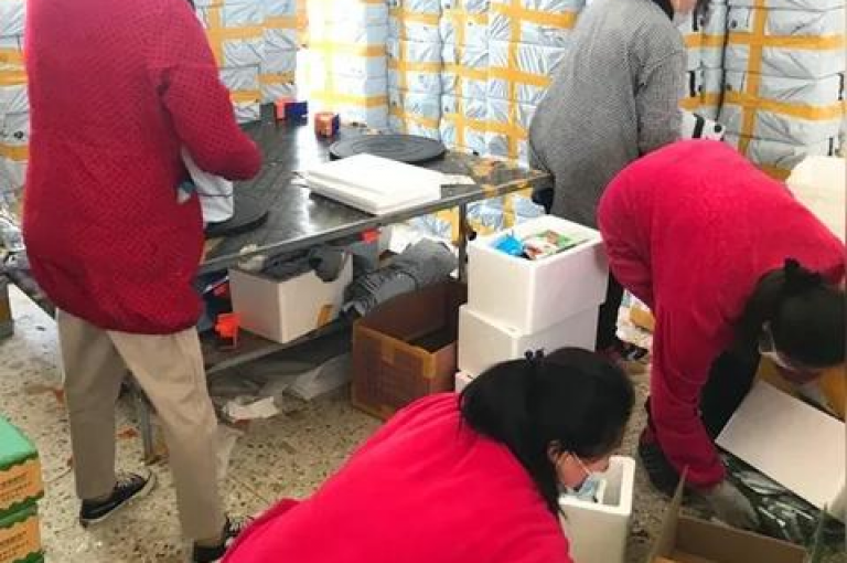 在网络交易平台上，寻找快手收藏服务、评估抖音账号价值、拼多多互助及九梦百货的便捷购物体验一应俱全。