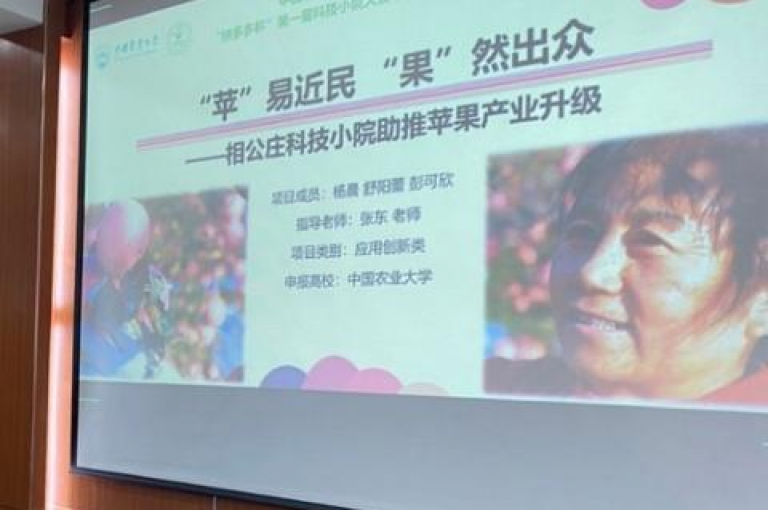 请使用拼多多官方平台进行助力活动，以确保账号安全和合规。
