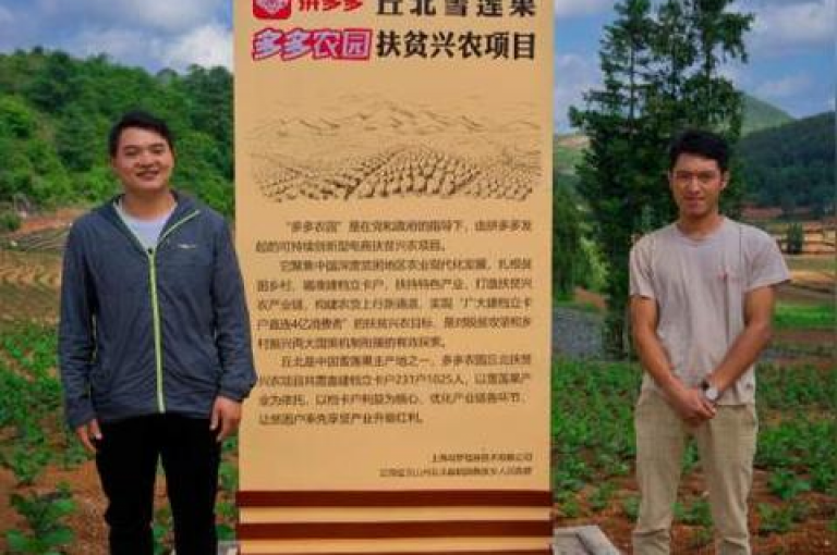 助力砍价无忧拼多多互助社区，轻松一元购，十单特惠速来抢。