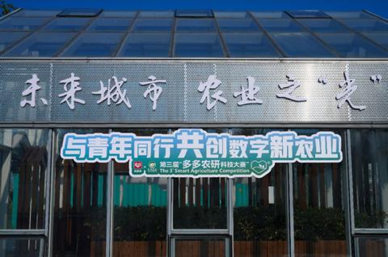 拼多多助力官网，勇往直前，共同书写传奇。