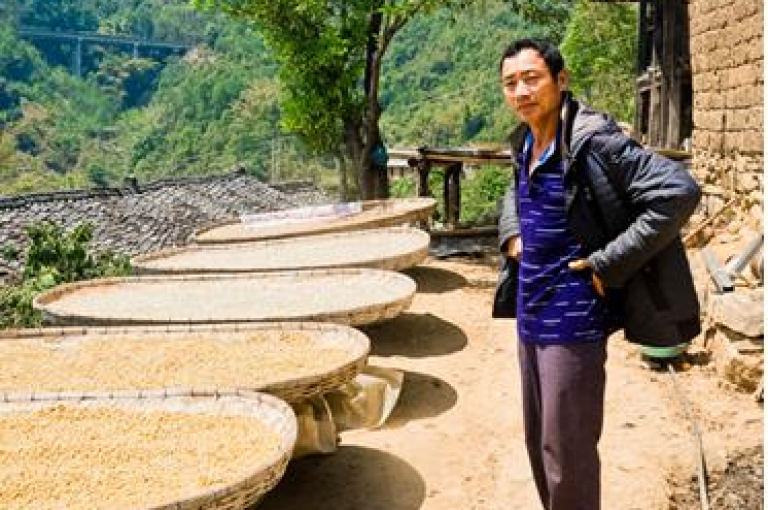 拼多多为吸引新用户参与其助力活动，提供了不同额度的助力金额，这一策略旨在鼓励用户邀请更多朋友加入平台。