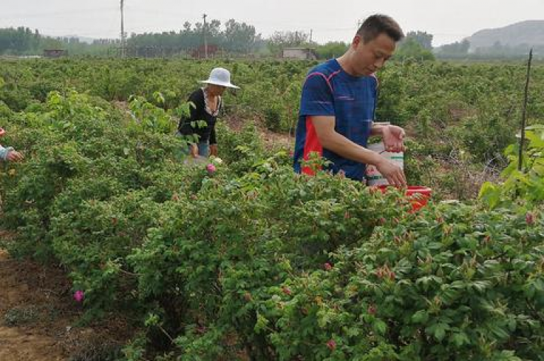 全网最低价业务平台的核心优势，提供无与伦比的折扣，专为新用户打造，确保您享受到最极致的优惠体验！