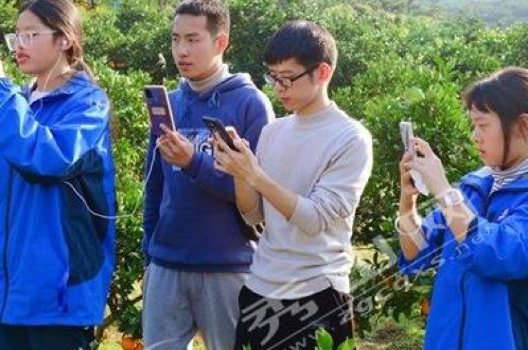 在线服务网站,抖音业务自助下单中心 - 24小时快手抖音业务支持 - 快手订单快速处理，惊喜不断！