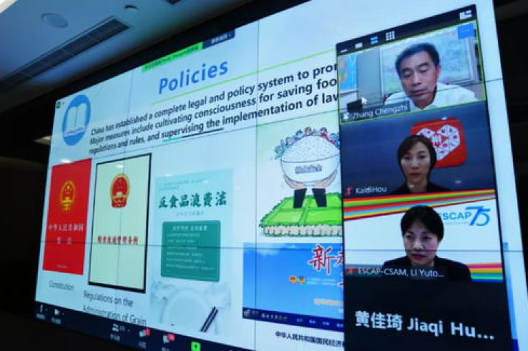 深入剖析拼多多助力活动网站，展望2025年的发展前景。