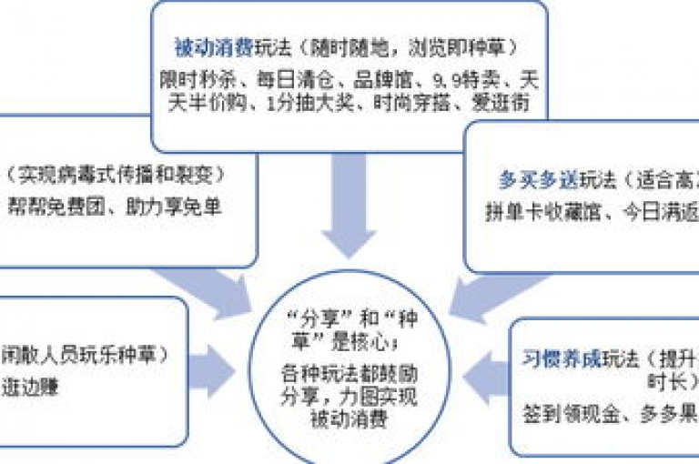 拼多多的营销策略逐步展开，引领新手走向成功的商业之旅。