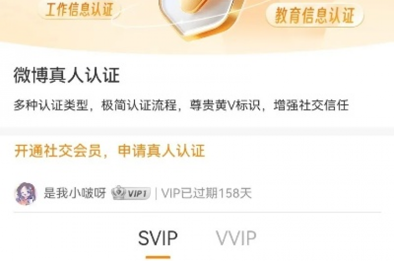 如何在WB自助平台上高效地提交业务订单并享受高品质的真人客服支持。