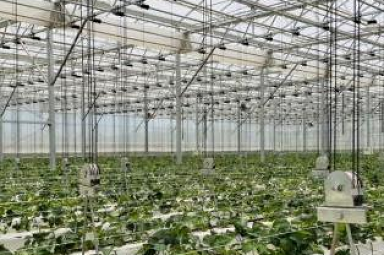 在拼多多的助力活动中，有一种无需拉人即可成功的方法，那就是利用多多帮助力。