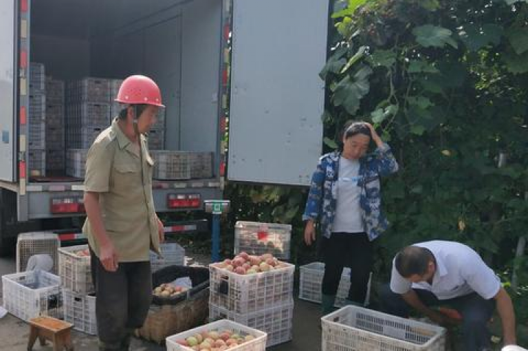 快手24小时在线下单平台免费（快手24小时在线下单服务，免费体验！）