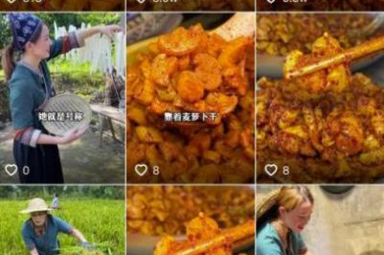 dy赞24小时下单平台退款政策，了解退款流程，保障您的权益！