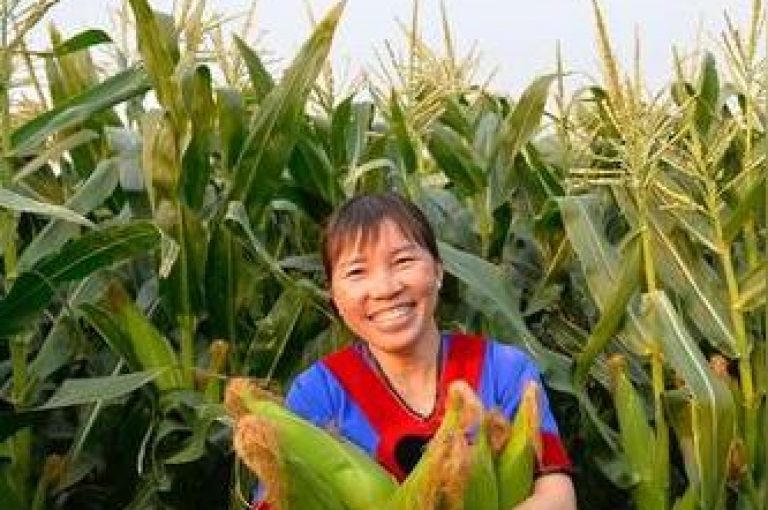 拼多多助力平台在拼多多助力活动中，第二天是否可以再次邀请同一个人进行助力呢？