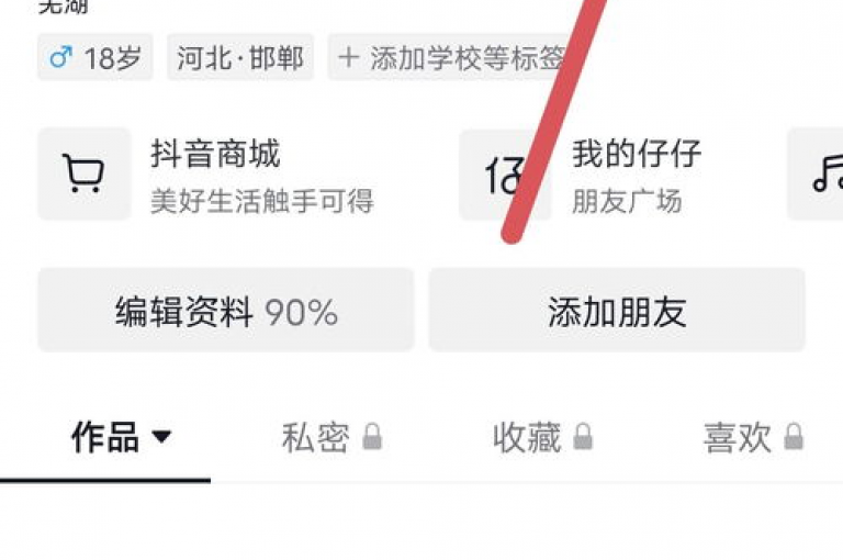 抖音点赞充值服务（学习如何有效提升你的视频热度）