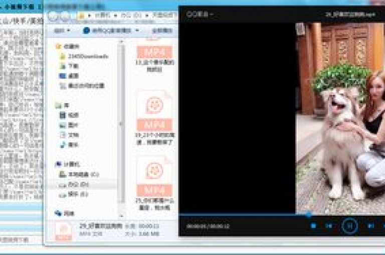 快手视频点赞链接的免费自动生成工具，让你轻松获得更多赞。