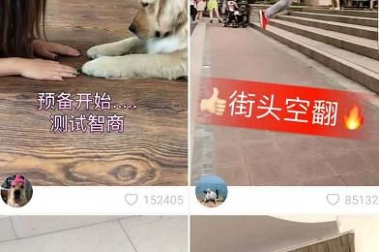抖音关注5分钱100个。
