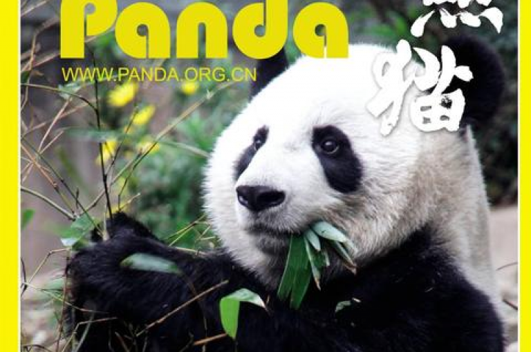 熊猫业务下单平台的关键更新，全新在线订购系统现已推出，专为新用户设计！