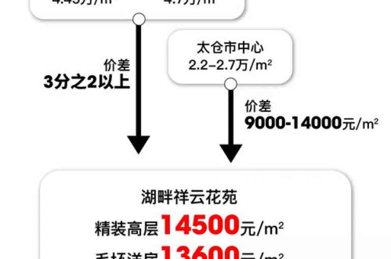 梓豪网络全天候订单处理指南，全面解读梓豪网络24小时下单流程。