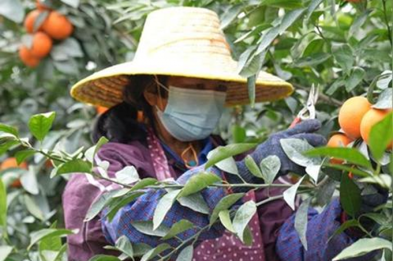 拼多多助力新人号活动的真实性存疑，且参与时需谨慎，以防个人信息被泄露。