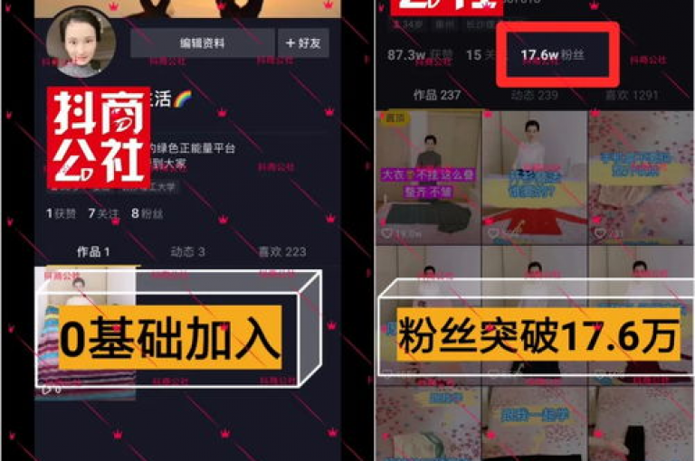 在抖音上迅速增加1000名真实粉丝的策略探讨。