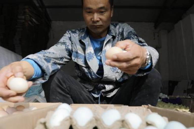 仅需1元起，即可轻松拥有1000个赞，赶快行动吧，以最实惠的价格赢得最多的点赞！
