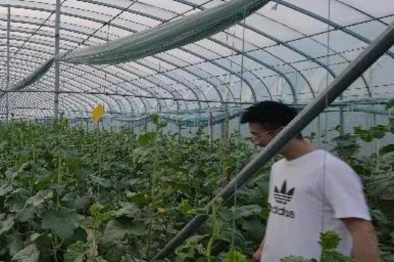 拼多多助力攻略如何快速获取助力？