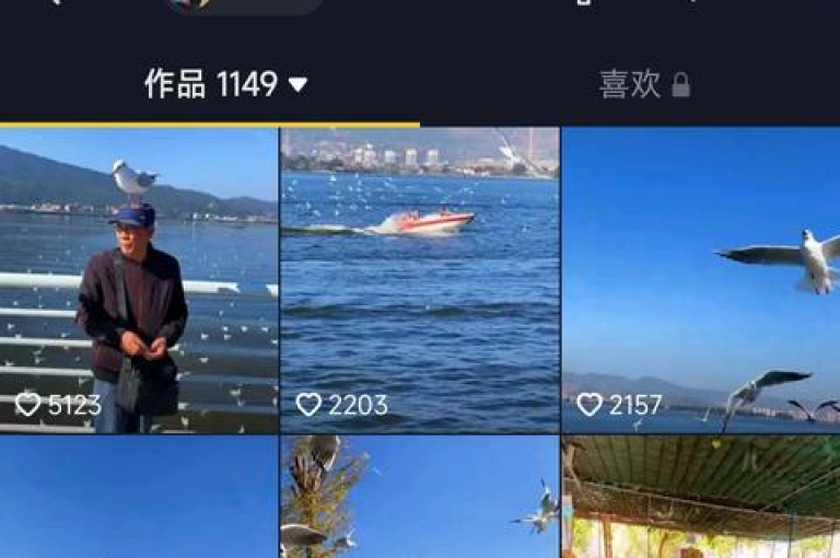探索互联网的便捷，发现快手快币充值优惠平台，学习抖音充值技巧，享受QQ点赞服务，以及随时进行空间业务下单，全天候服务不间断。