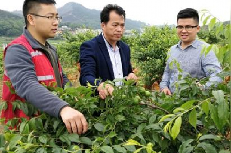 抖音极速点赞，一键三连，0.01元开启大地房产马山肥装修优惠之旅 - 快来参与，享受超值装修盛宴！