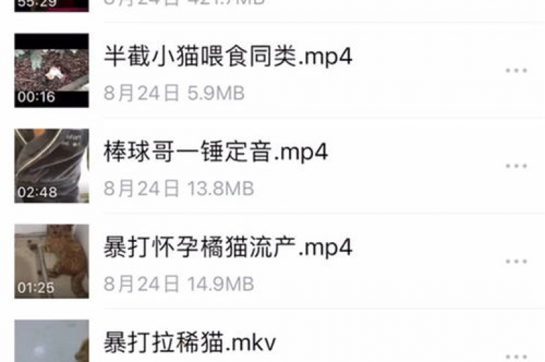 一元100赞服务（一元100赞揭秘，快速提升你的作品知名度！）