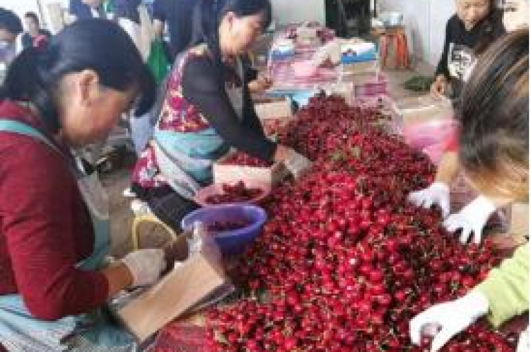 免费领取商品，拼多多助力平台带来全新购物感受。