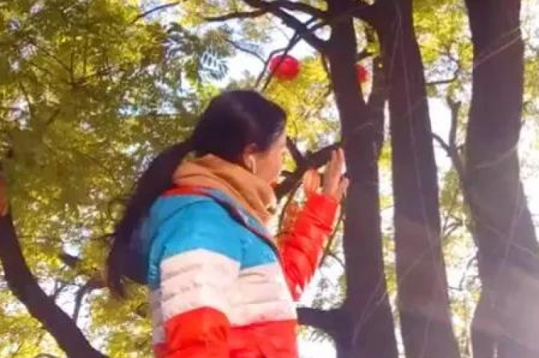 彩虹授权查询自助下单，便捷获取正版授权。
