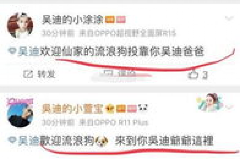抖音直播带货技巧分享，小红书5万点赞的秘密 - 淘宝优惠券领取中心 - 快速增加1000关注。