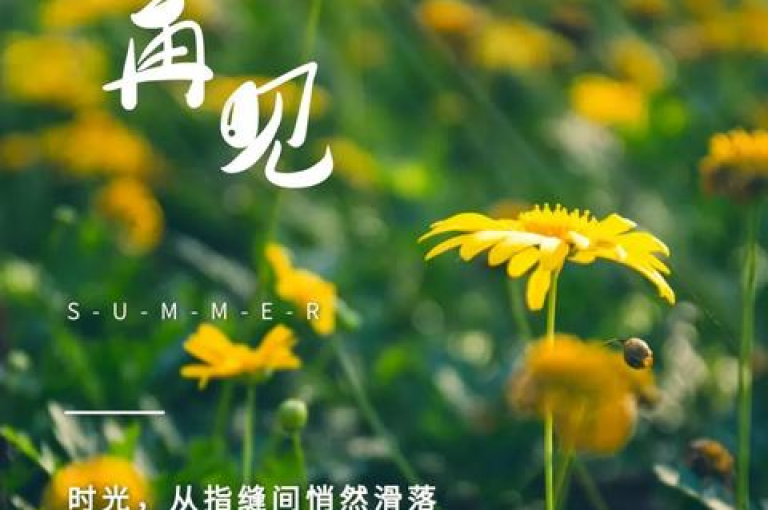 QQ空间秒赞神器，助你轻松收获说说高赞。