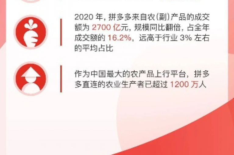 2025年，拼多多将通过其助力网站为消费者带来更多优惠和便利。