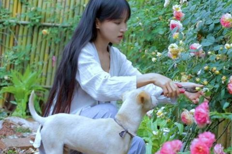 抖音500粉丝的报价是多少？