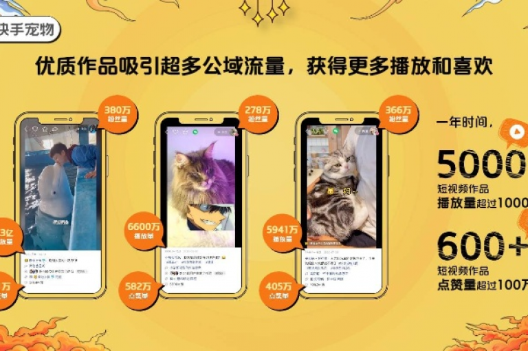 在快手平台上，仅需1元投入即可轻松获取价值500的宠物点券，让你的虚拟宠物生活更加丰富多彩。