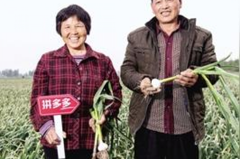 关于拼多多助力次数上限的探讨——未来几年内可能会有哪些调整？