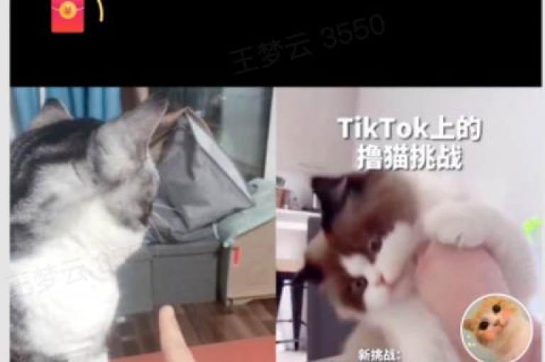 在抖音上开展业务，关键在于精准定位目标受众，并创作引人入胜的短视频内容。