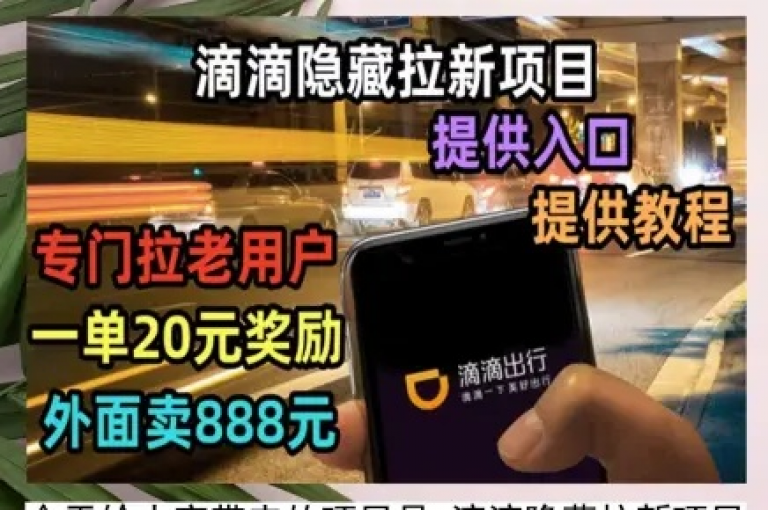 Q拉接单平台全新指南，如何快速注册并开始接单，2024年必备技能！