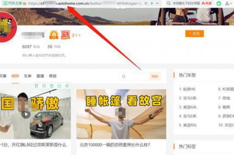 抖音视频播放量自助下载平台，抖音视频播放量自助下载工具全面解读。