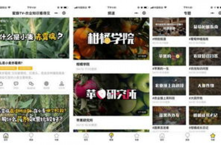 抖音视频播放量提升服务 - 专业平台助力，轻松增加视频曝光度！