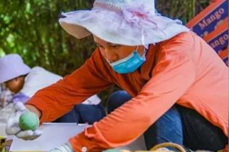 拼多多推出创新的人工点服务，为电商平台注入新活力，开启电商发展新篇章。