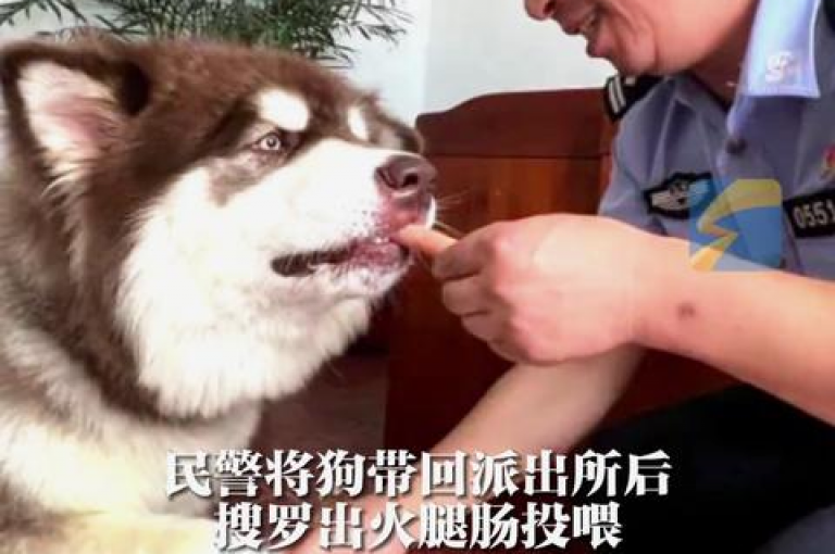 闪电云信息技术有限公司的dy业务下单，在闪电云商城中迅速完成。