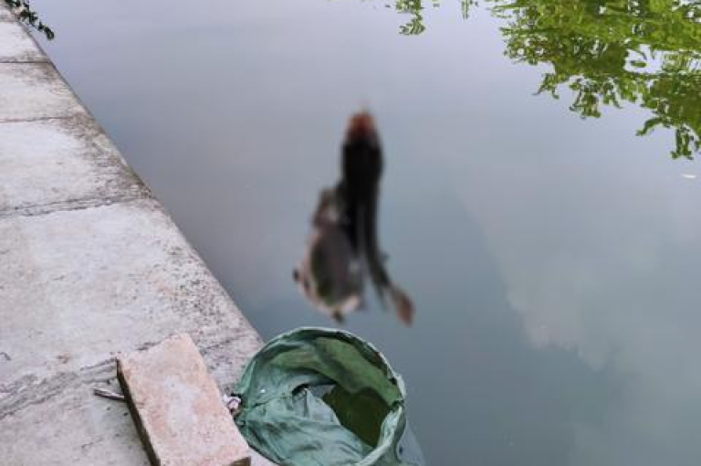 请提供具体的内容和格式呀，这样我才能围绕其为你创作一个符合要求的句子呢。