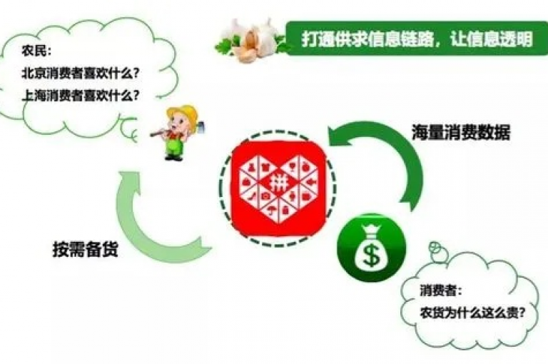 探讨拼多多新用户助力难题及其解决方案