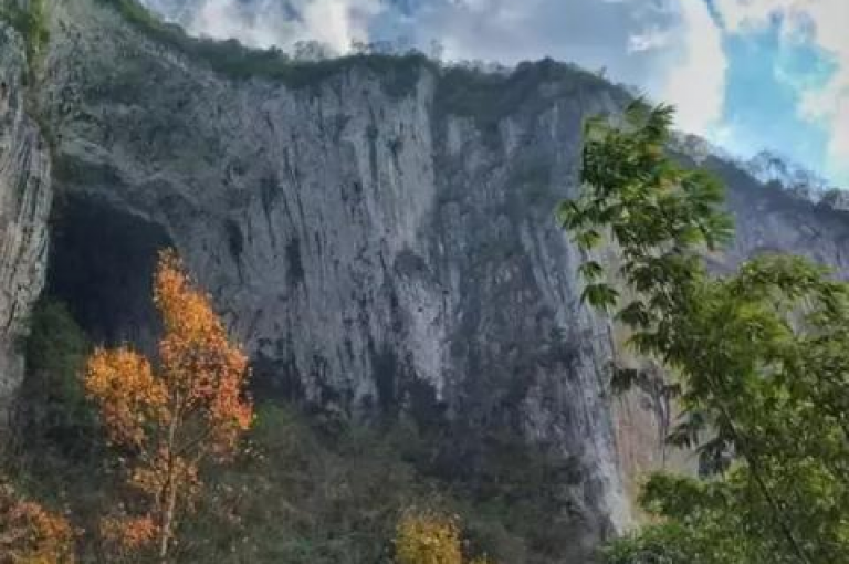 免费获取5000次点赞（免费获取5000次点赞抖音）。