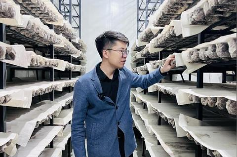 拼多多助力软件是否好用拼多多助力新手。