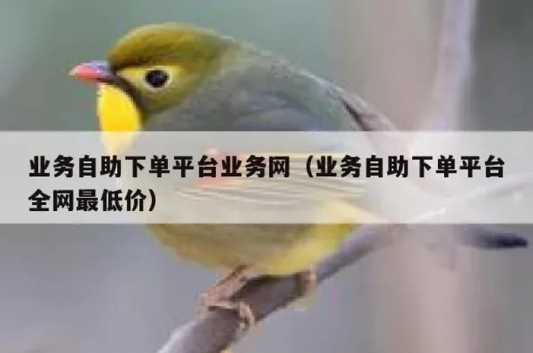 探索全网最低价自助下单平台，享受超值优惠购物体验。