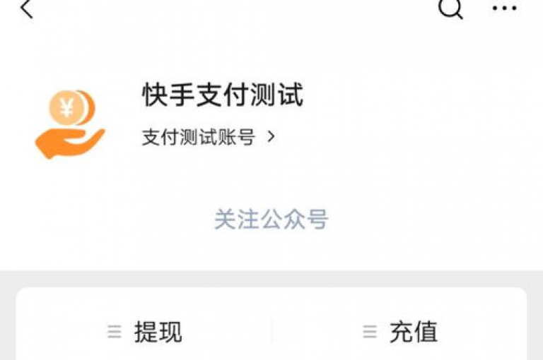 在快手平台上，真人点赞服务可通过微信支付便捷地完成交易。