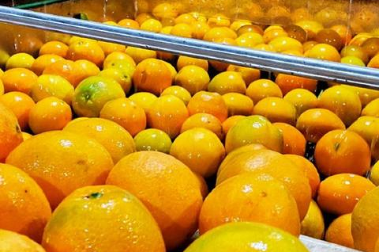 在拼多多平台上如何快速找到参与免费领商品的助力活动呢？