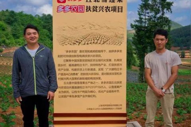 拼多多业务平台自助下单网站是多多帮助力，它为用户提供了便捷的在线购物体验。