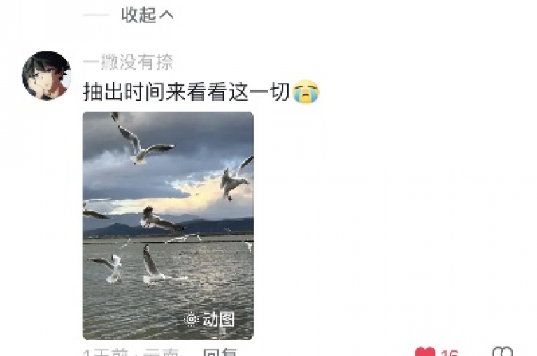 2024年，QQ空间点赞自助业务火爆，仅需1元就能获得十万点赞，成为网红商城的热门服务。