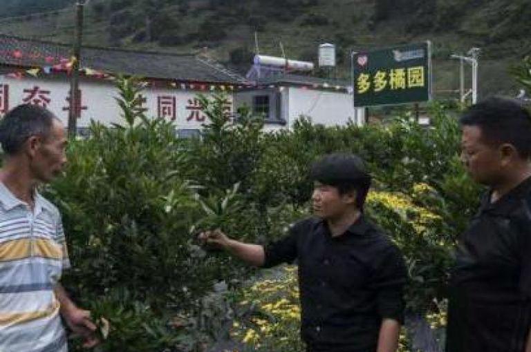 如何在拼多多助力平台上完成账号的退出登录操作？